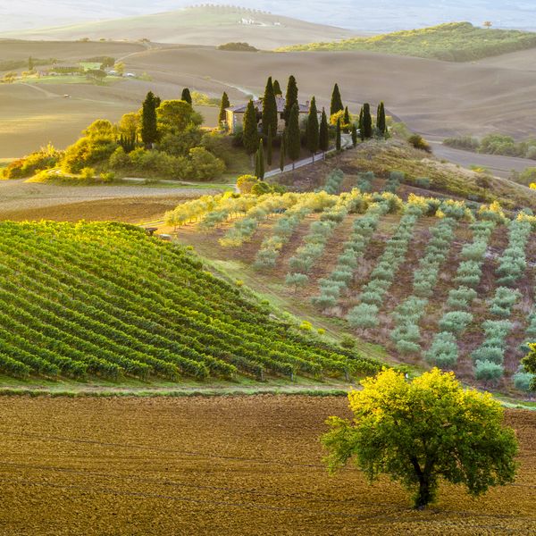 Toscane Essentielle, Florence et le Chianti