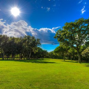 Voyagealitalienne GalliaPalace golf
