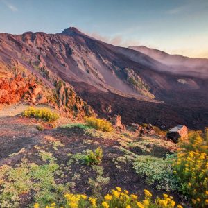 Etna Volcano in Sicily, Italy with colorful flowers on foreground