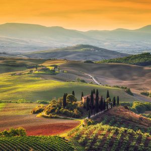Tuscany landscape at sunrise. Typical for the region tuscan farm house, hills, vineyard.